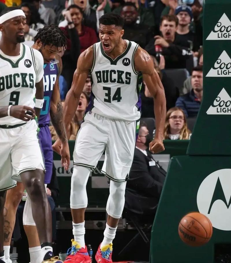 山东泰山V 山东泰山V